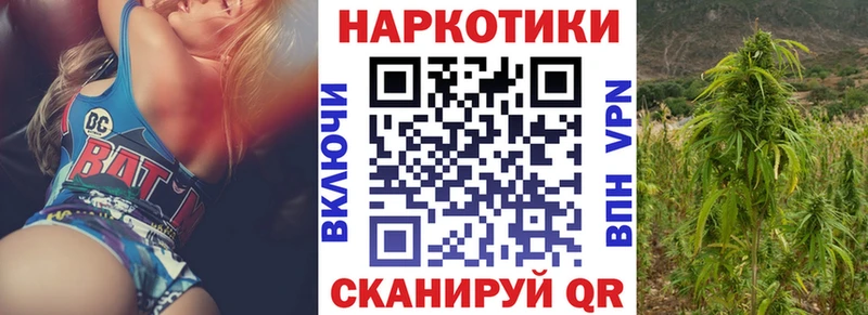 Купить наркотики сайты Зерноград Галлюциногенные грибы  MEGA ONION  Меф  Амфетамин  Гашиш  Каннабис  A-PVP  Кокаин 