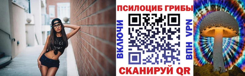 Галлюциногенные грибы мухоморы  как найти закладки  Зерноград 
